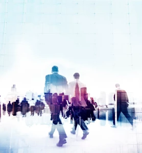 Radzimy jak kupić rolety szybciej