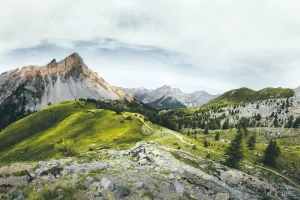 10 praktycznych sposobów na szybkie sprzątanie domu bez wysiłku: plan 30-min krok po kroku, triki na kurz i skuteczne domowe środki do łazienki oraz kuchni.