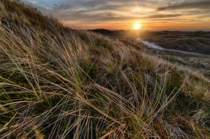 Najlepsze klimatyzatory do mieszkań w Warszawie 2026: ranking, ceny, montaż i serwis lokalny